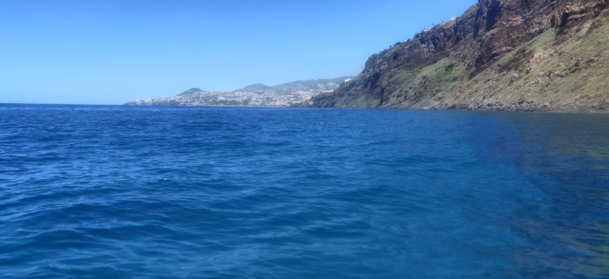 Home SUP na Madeira
