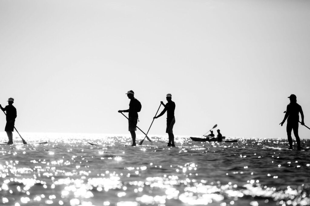 dirk erasmus l0wfl6tvjec unsplash (1)