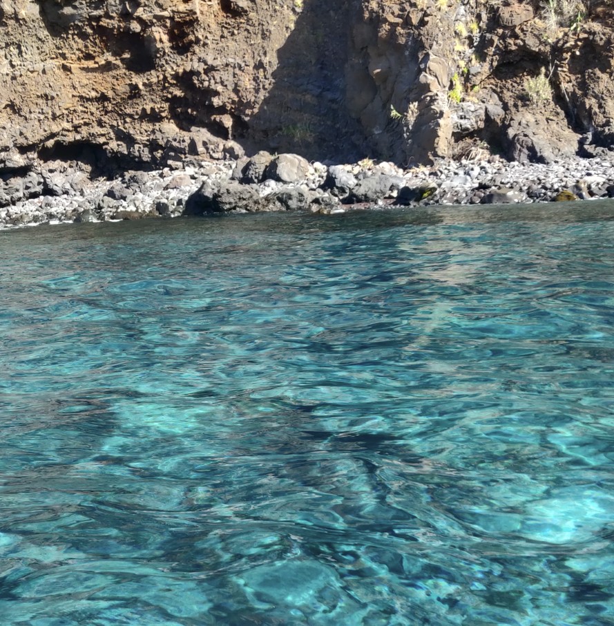 Tour Privado de Stand Up Paddle na Madeira